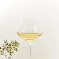 chenin tranquille