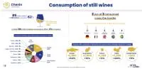 infographie Chenin