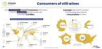 infographie Chenin