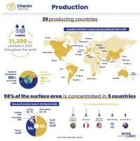 infographie Chenin mobile