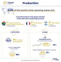 infographie Chenin mobile