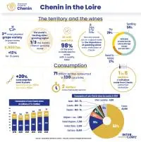infographie Chenin mobile
